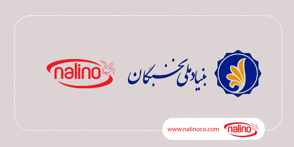 تقدیر بنیاد ملی نخبگان از مدیر عامل شرکت پانیذسازان دانا (نالینو)