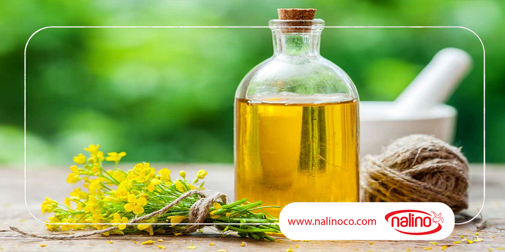 لزوم‌ توجه سرمایه گذاران به توسعه واحدهای در حال فعالیت