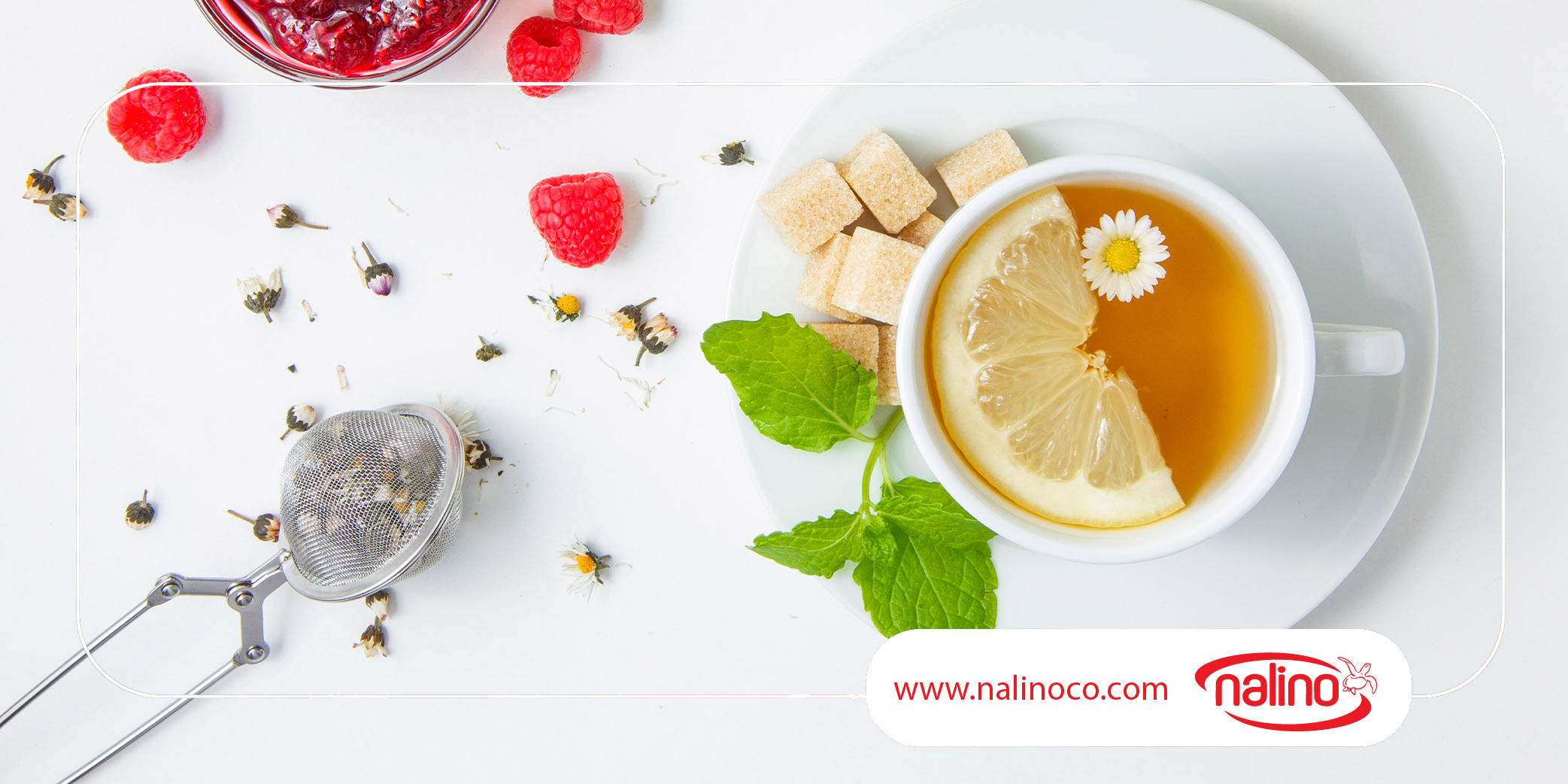 نالینو با کمپین مهر نالینو به کودکان نیازمند بسته های آموزشی اهدا می کند