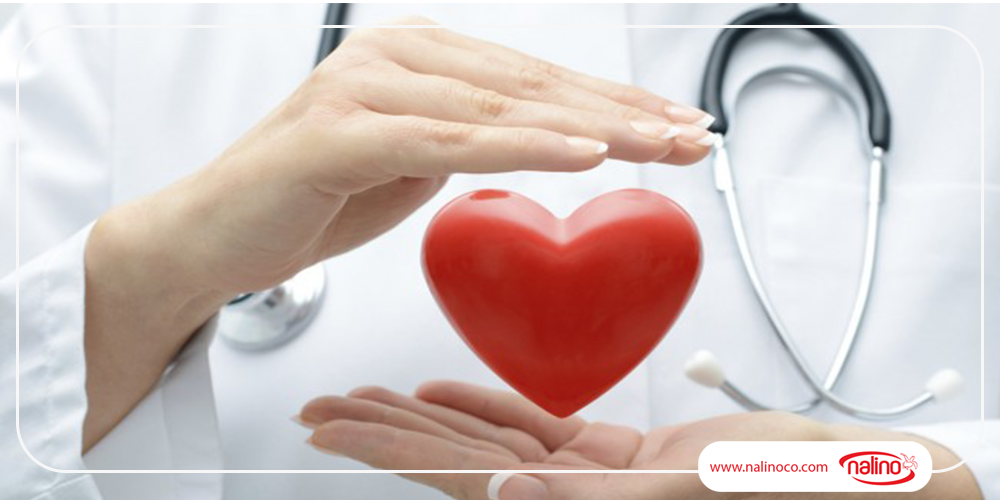 گامی دیگر از نالینو در مشارکت و حمایت از استارتاپ‌ها 