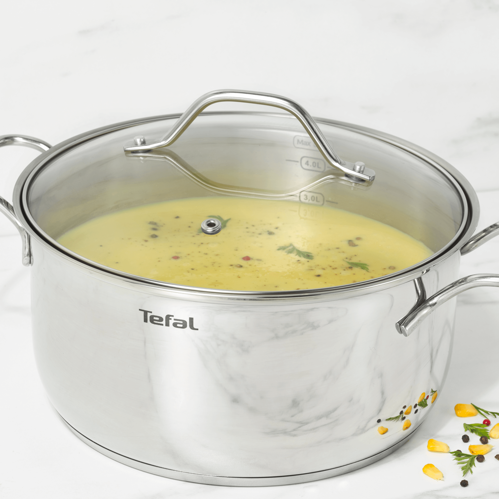  قابلمه استیل سایز ۲۸ دربدار تفال tefal 