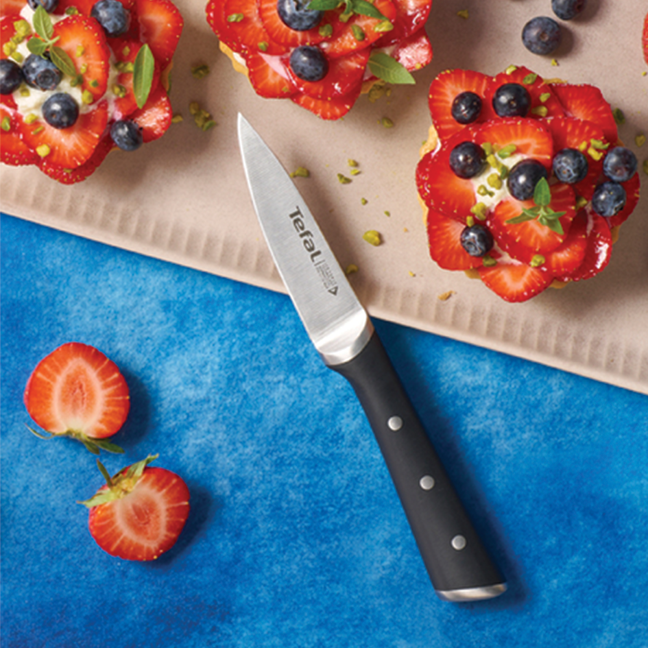 چاقو سایز 9 تفال tefal میوه خوری
