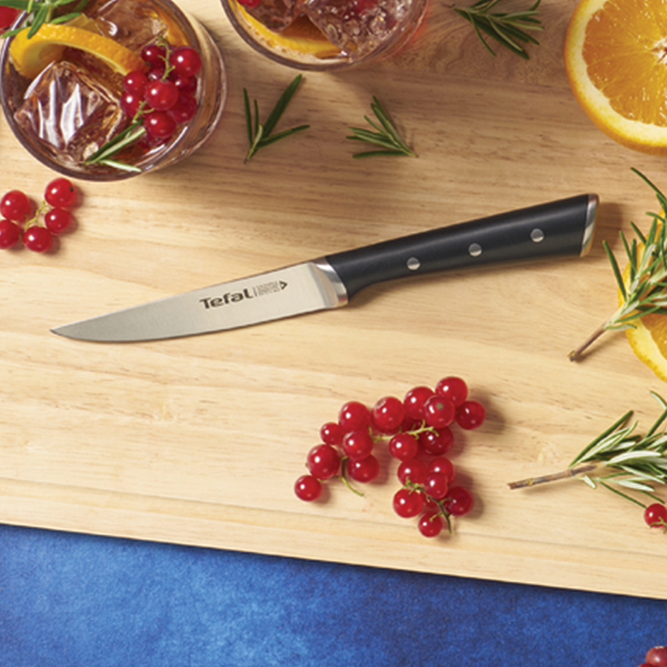 چاقو سایز 11 تفال tefal همه کاره