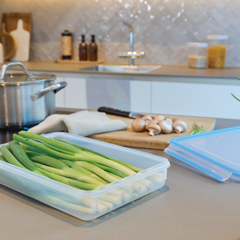 ظرف نگهدارنده غذا سایز 2/6 لیتری تفال tefal